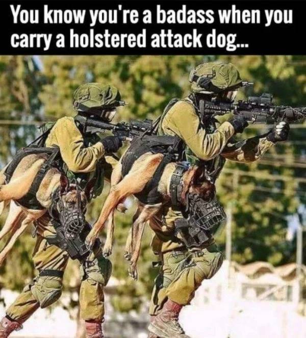 you know you re badass when you carry a holstered attack dog - 'You know you're a badass when you carry a holstered attack dog...