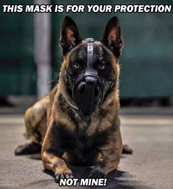 police k9 memes - This Mask Is For Your Protection Not Mine!