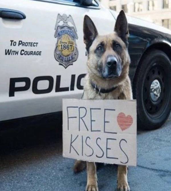 cops valentines day - To Protect With Courage 1867 Coro Polic Fref Ikisses