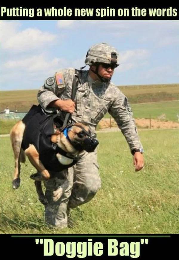 dog soldier meme - Putting a whole new spin on the words "Doggie Bag"