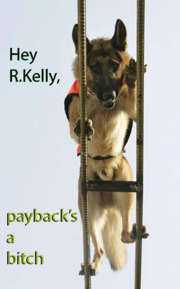 fire rescue dog - Hey R.Kelly, payback's a bitch