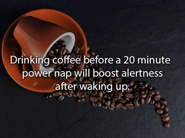 coffee quotes - Drinking coffee before a 20 minute power nap will boost alertness after waking up.