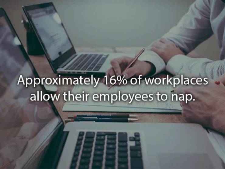 Approximately 16% of workplaces allow their employees to nap.