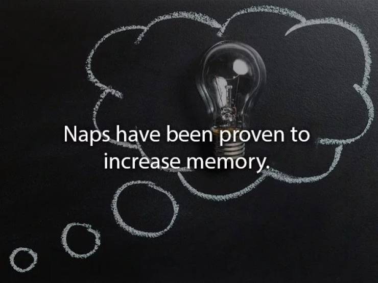 Naps have been proven to increase memory.