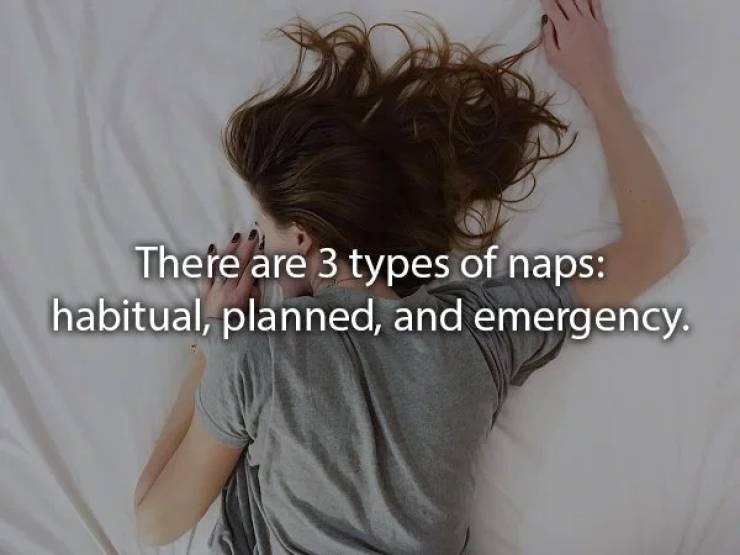 There are 3 types of naps habitual, planned, and emergency.