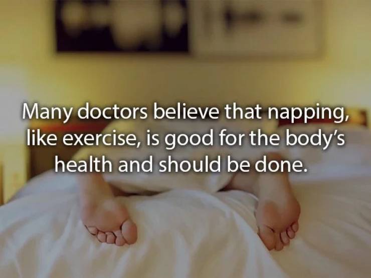 photo caption - Many doctors believe that napping, exercise, is good for the body's health and should be done.