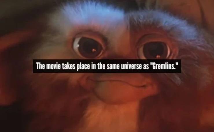 close up - The movie takes place in the same universe as "Gremlins."