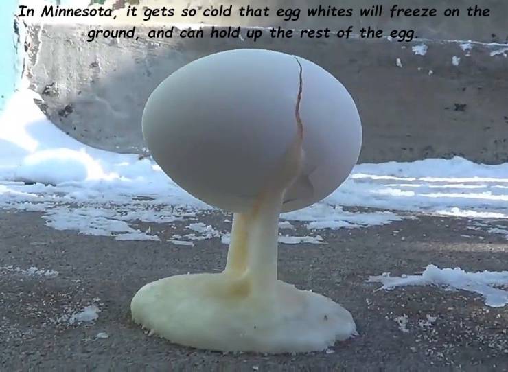 random pic sphere - In Minnesota, it gets so cold that egg whites will freeze on the ground, and can hold up the rest of the egg.
