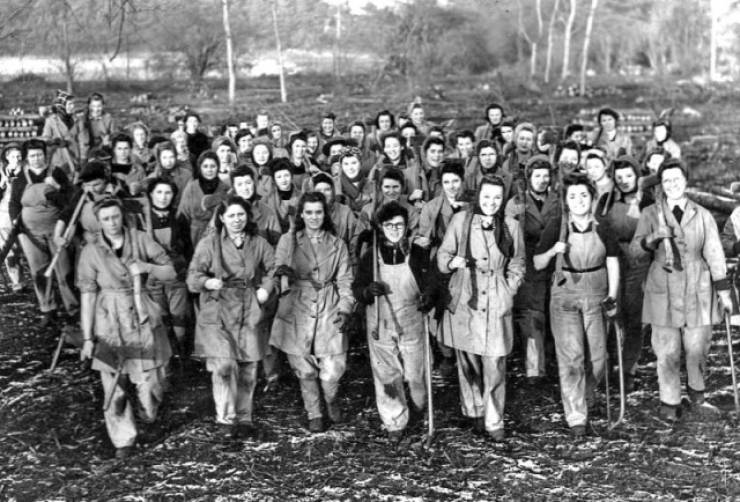 Women Who Worked As Lumberjacks During Wartime