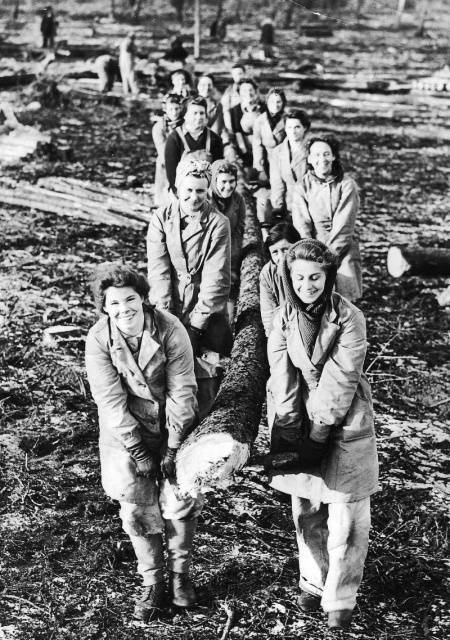 Women Who Worked As Lumberjacks During Wartime