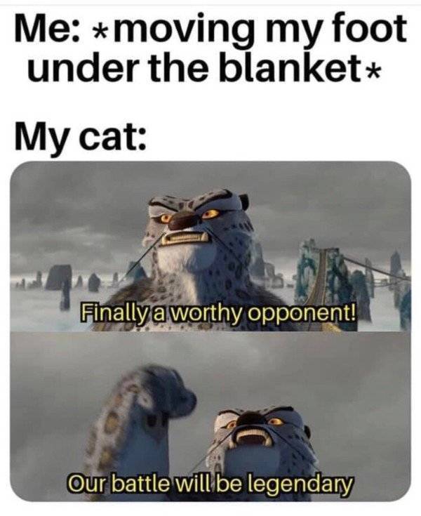finally a worthy opponent meme - Me moving my foot under the blanket My cat Finally a worthy opponent! Our battle will be legendary