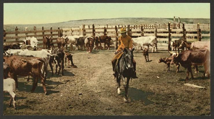 Colorized Photos Of The Wild West