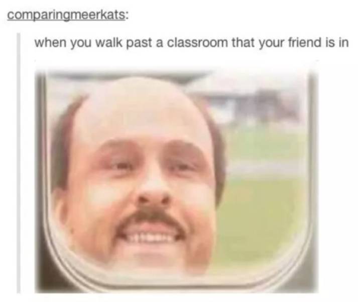 Funny middle school meme - you walk past your friends classroom - comparingmeerkats when you walk past a classroom that your friend is in