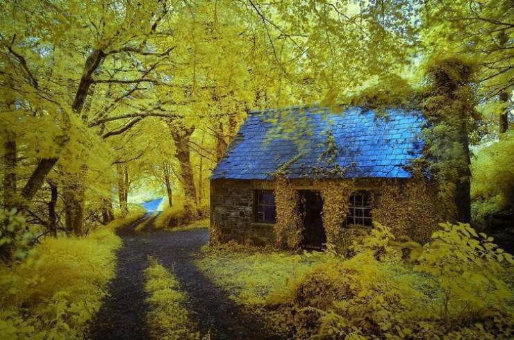 Ancient Forest Cottage in Stradbally, Ireland