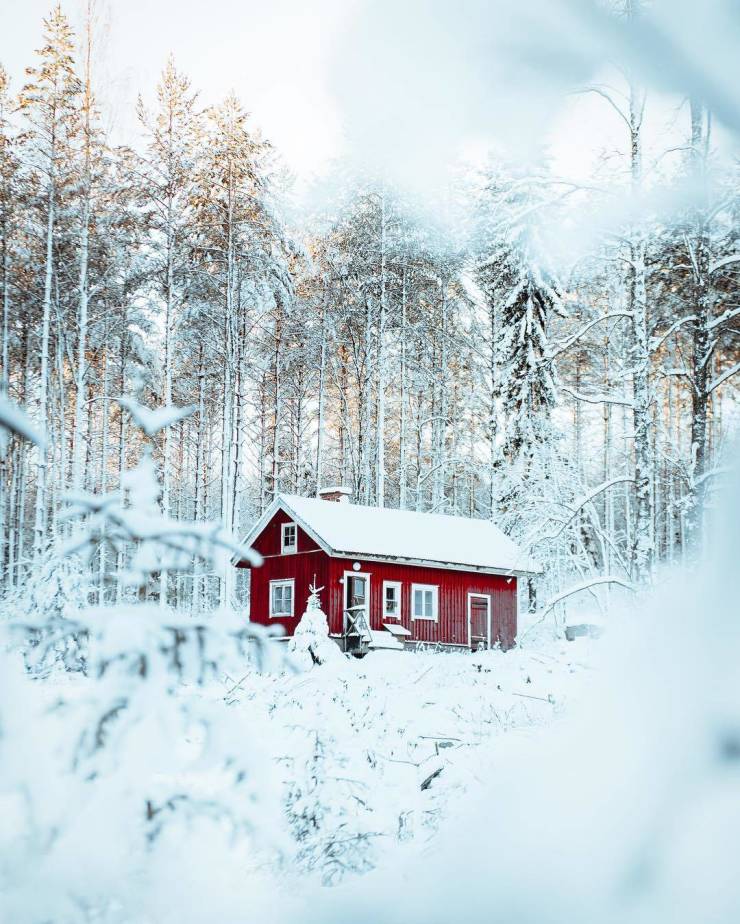 Somewhere in the woods, Eastern Finland