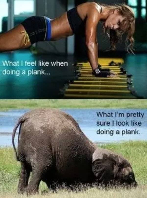 Gym meme - What I feel when doing a plank... What I'm pretty sure I look doing a plank.