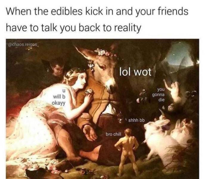 420 Memes - midsummer night's dream art - When the edibles kick in and your friends have to talk you back to reality reigos lol wot you u will b okayy gonna die shhh bb bro chill