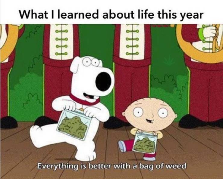 420 Memes - bag of weed meme - What I learned about life this year O , Everything is better with a bag of weed