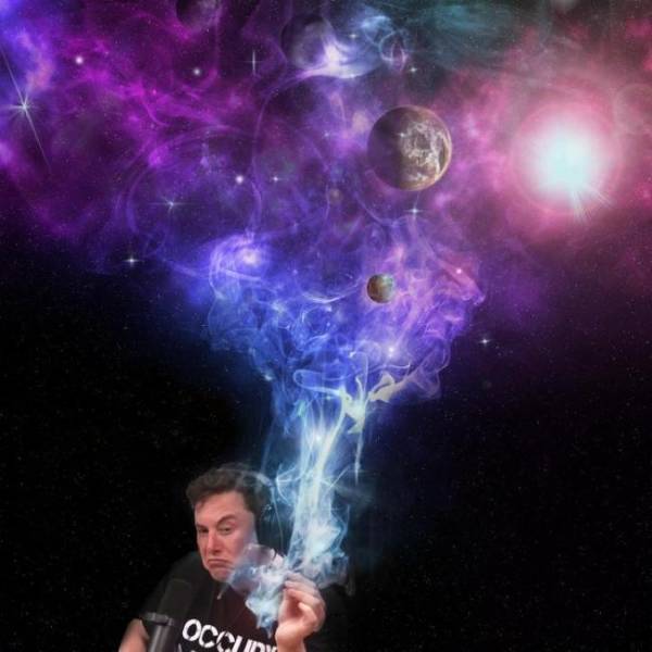 420 Memes - elon musk weed space - Ocalit