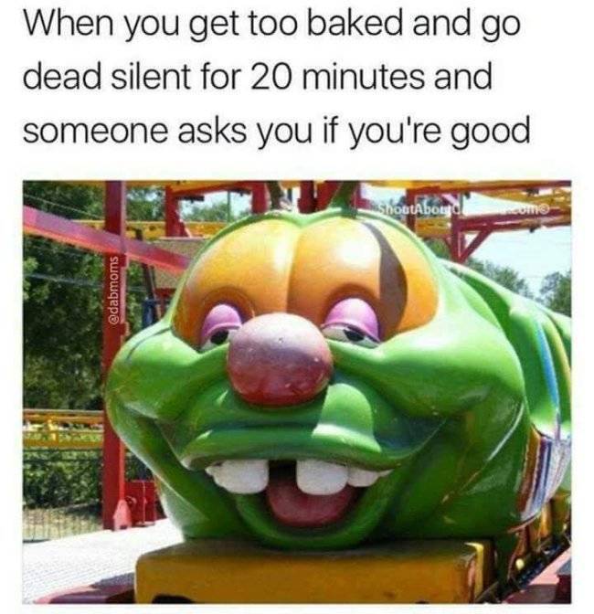 420 Memes - When you get too baked and go dead silent for 20 minutes and someone asks you if you're good botto