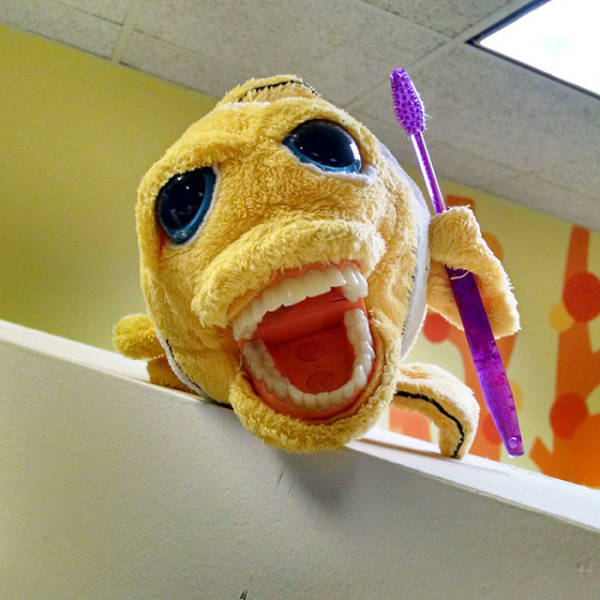 Fish stuffed animal with human-like teeth holding a tooth brush