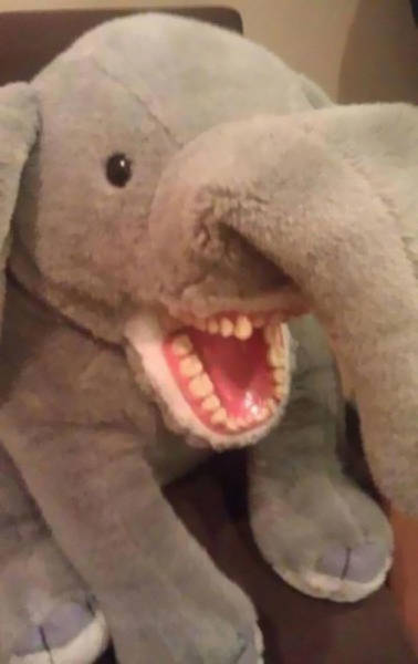 Elephant stuffed animal with human teeth