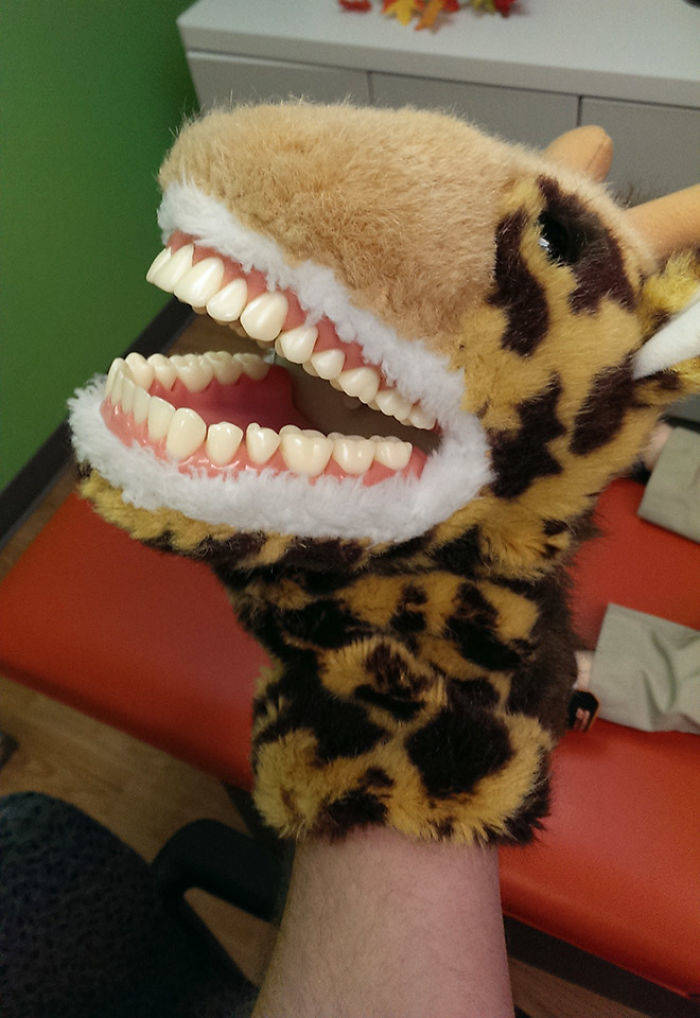 dental stuffed animal