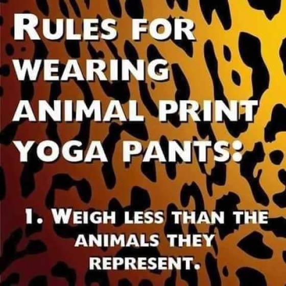 funny meme of animal print leggings meme - Rules For Wearing Animal Print Yoga Pants 1. Weigh Less Than The Animals They Represent.