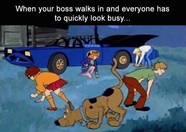 funny meme of scooby doo search gif - When your boss walks in and everyone has to quickly look busy...