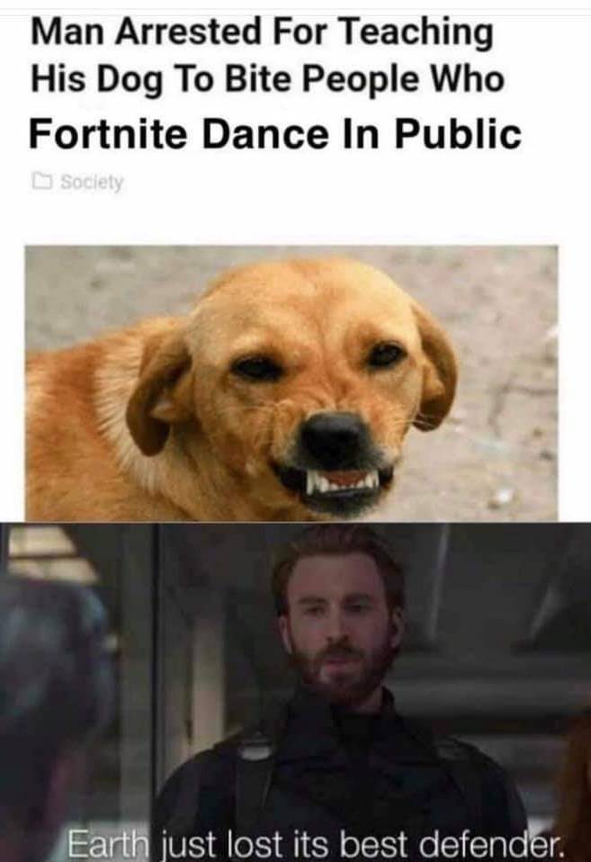 funny meme of reality is often disappointing meme - Man Arrested For Teaching His Dog To Bite People Who Fortnite Dance In Public Society Earth just lost its best defender.