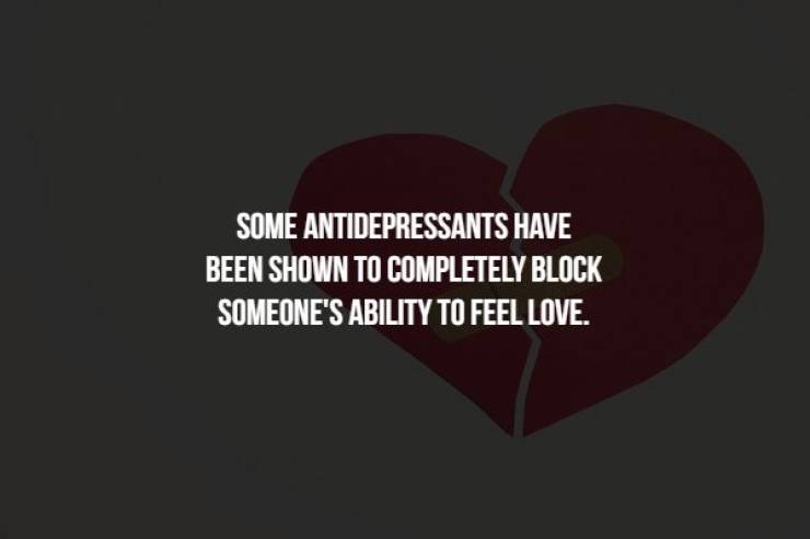 love - Some Antidepressants Have Been Shown To Completely Block Someone'S Ability To Feel Love.