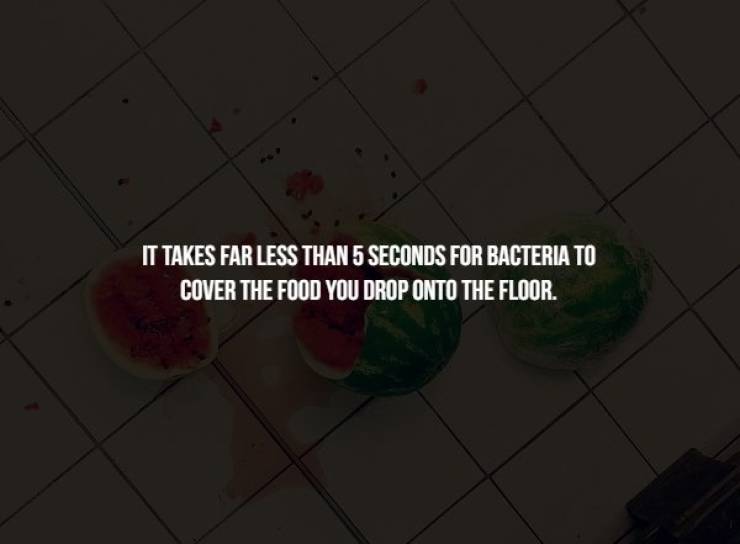 light - It Takes Far Less Than 5 Seconds For Bacteria To Cover The Food You Drop Onto The Floor.