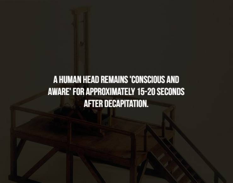 table - A Human Head Remains Conscious And Aware For Approximately 1520 Seconds After Decapitation.