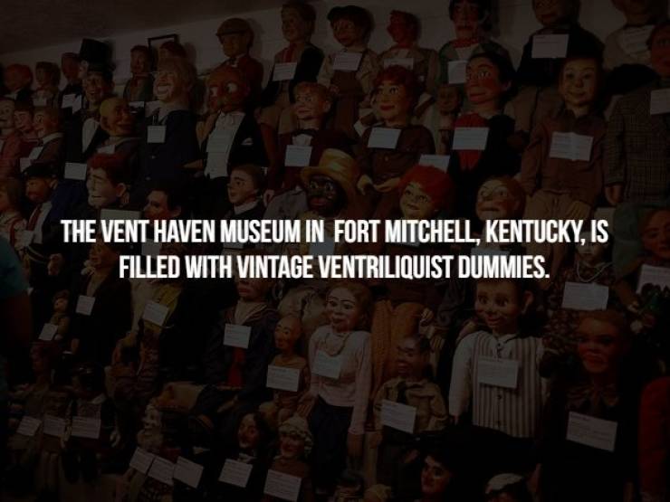 vent haven museum - The Vent Haven Museum In Fort Mitchell, Kentucky, Is Filled With Vintage Ventriliquist Dummies.