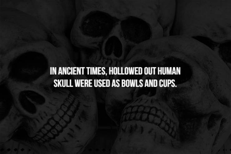 monochrome photography - In Ancient Times, Hollowed Out Human Skull Were Used As Bowls And Cups.