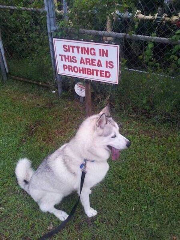 heck the rules meme - Sitting In This Area Is Prohibited