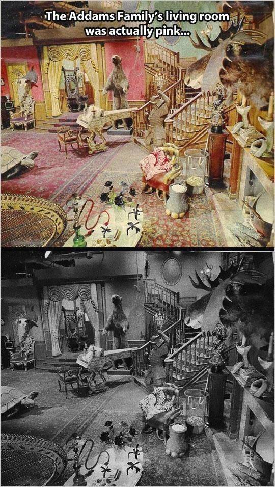 addams family living room - The Addams Family's living room was actually pink...