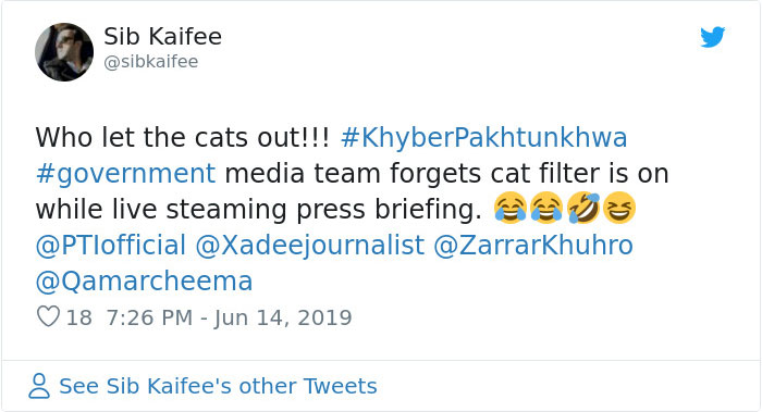 Pakistani Government Officials Accidentally Turn On Cat Filter During Facebook Live