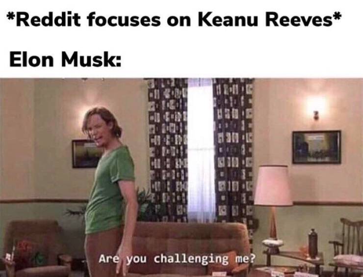 funny memes - you challenging me shaggy meme - Reddit focuses on Keanu Reeves, Elon Musk,