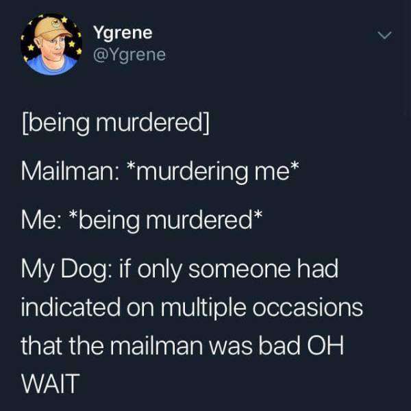funny tweet from Ygrene Ygrene  that says being murdered Mailman murdering me Me being murdered 'My Dog if only someone had indicated on multiple occasions that the mailman was bad Oh Wait