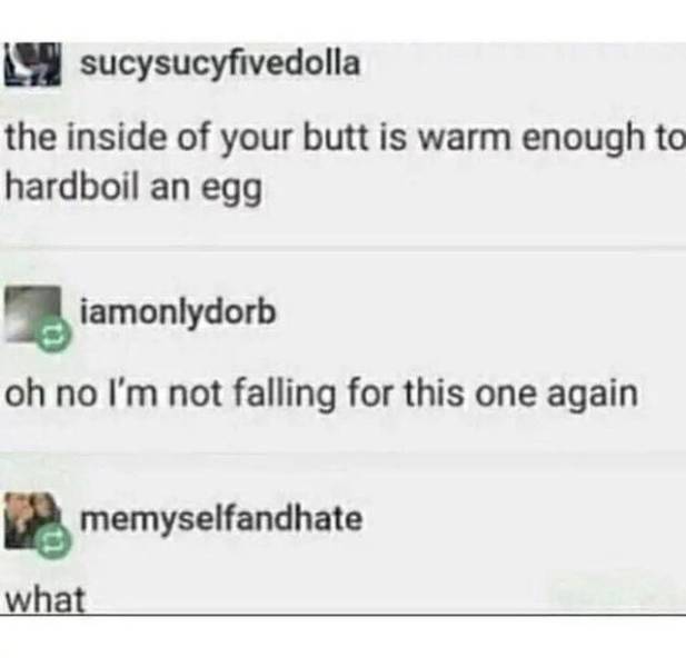 funny memes that says the inside of your butt is warm enough to hard boil an egg, oh no I'm not falling for this one again