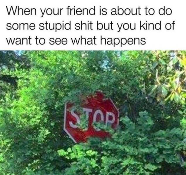 funny memes -your friend is about to do some stupid shit - When your friend is about to do some stupid shit but you kind of want to see what happens