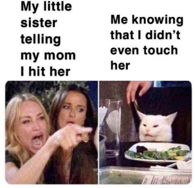 funny memes - My little sister telling my mom I hit her Me knowing that I didn't even touch her