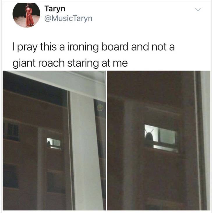 funny memes -ironing board roach - Taryn I pray this a ironing board and not a giant roach staring at me