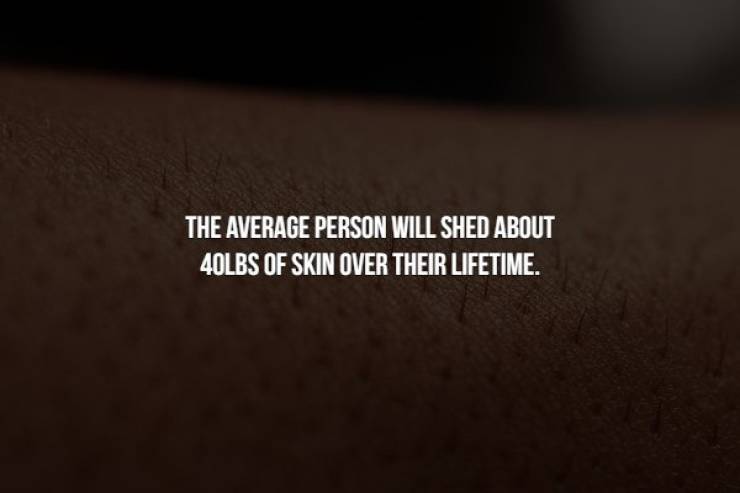 bespoke magazine - The Average Person Will Shed About 40LBS Of Skin Over Their Lifetime.