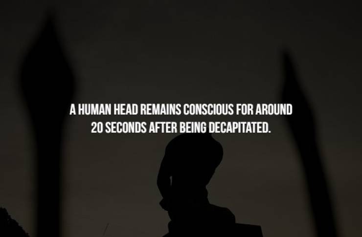 darkness - A Human Head Remains Conscious For Around 20 Seconds After Being Decapitated.