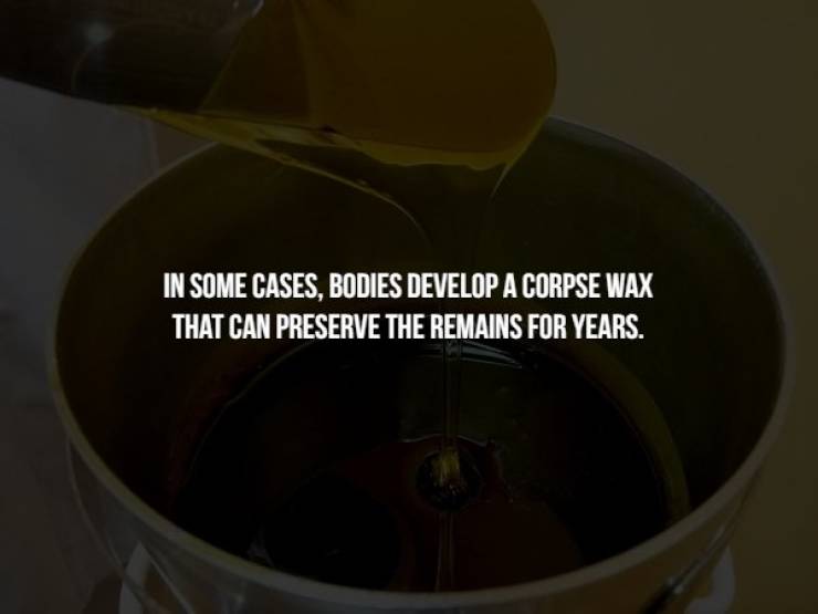 In Some Cases, Bodies Develop A Corpse Wax That Can Preserve The Remains For Years.