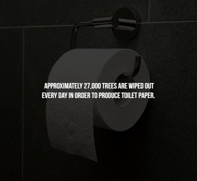 light - Approximately 27.000 Trees Are Wiped Out Every Day In Order To Produce Toilet Paper.
