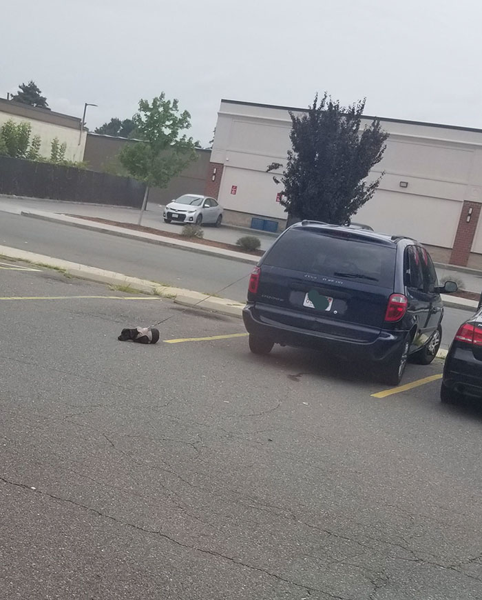 Leashing Your Dog To Your Car In The Parking Lot While You Go To The Gym