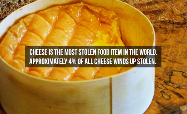 vegetarian food - Cheese Is The Most Stolen Food Item In The World. Approximately 4% Of All Cheese Winds Up Stolen.